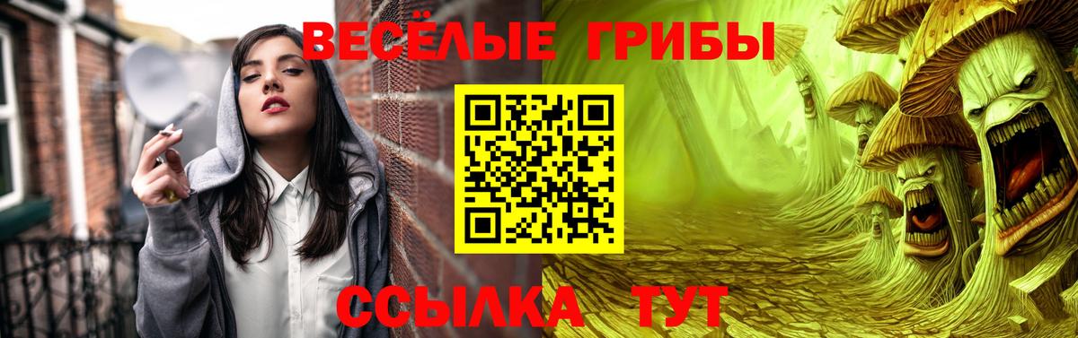 Псилоцибиновые грибы Psilocybe Щёлково